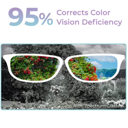 Zpectrum Colorblind Glasses - Image 7