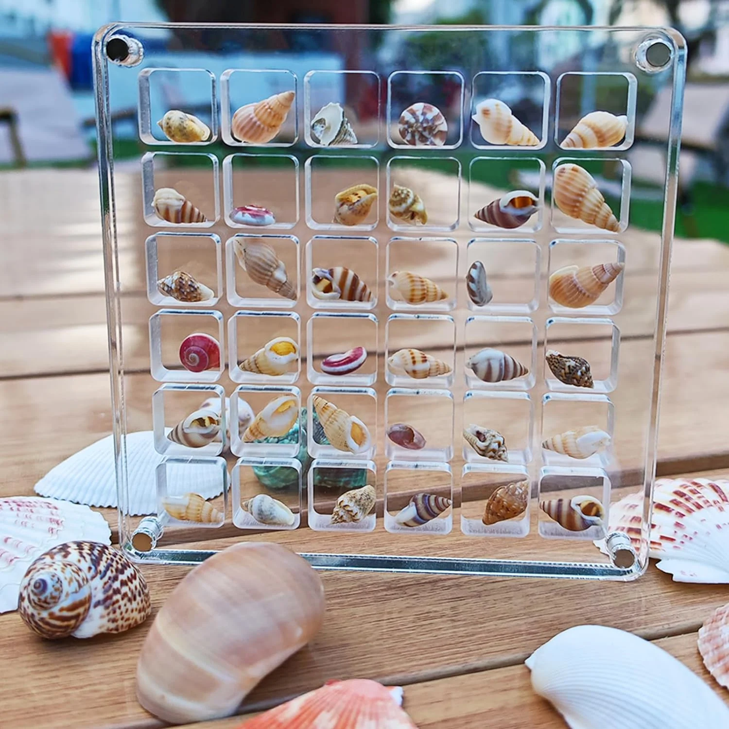 Acrylic Magnetic Seashell Display Box - Image 4