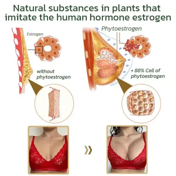 AnnieCare Pueraria Mirifica Papaya Breast Enhancement Capsules - Image 6