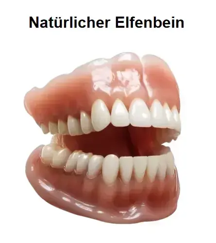 – Premium-Zahnprothese - Image 2