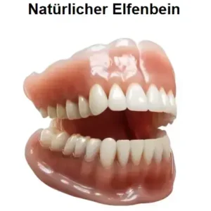 Alternative view of – Premium-Zahnprothese