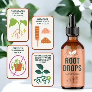 Root Drops - Image 6