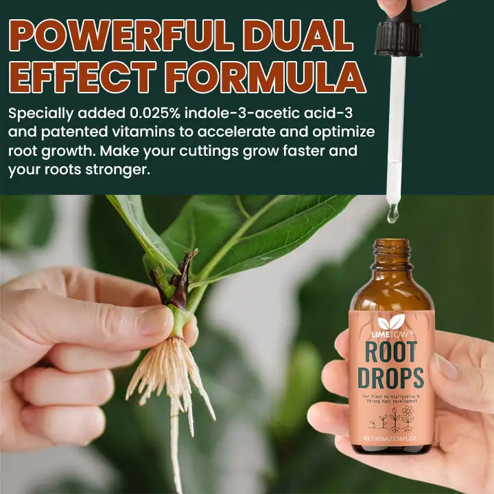 Root Drops - Image 9