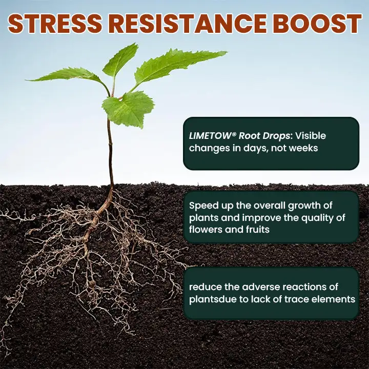Root Drops - Image 13