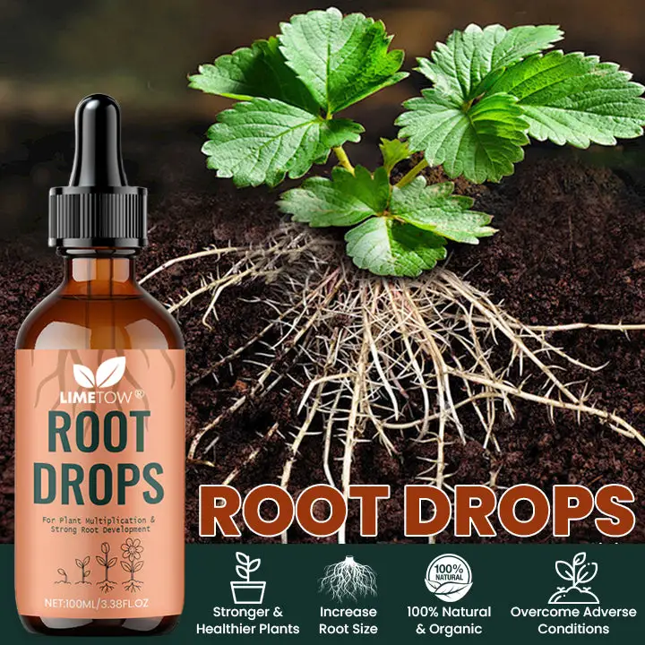 Root Drops - Image 3