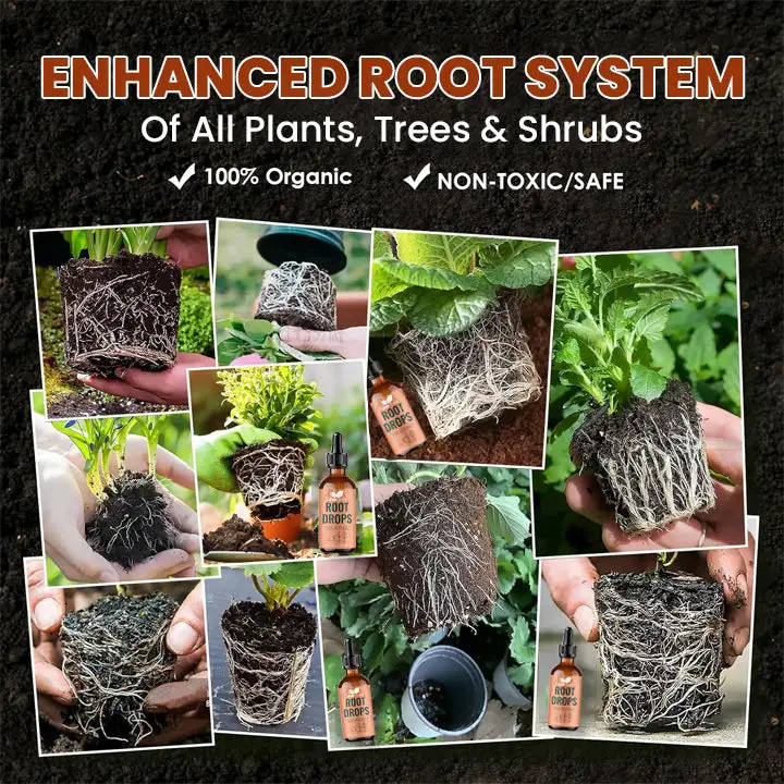 Root Drops - Image 14