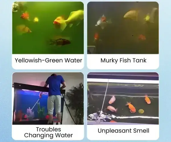 Aquariums Aqua-Guardian Blend - Image 10