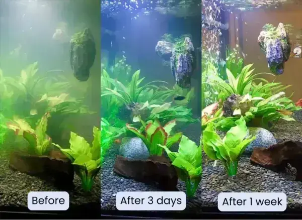 Aquariums Aqua-Guardian Blend - Image 14