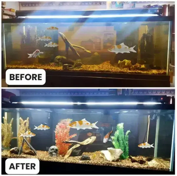 Aquariums Aqua-Guardian Blend - Image 15