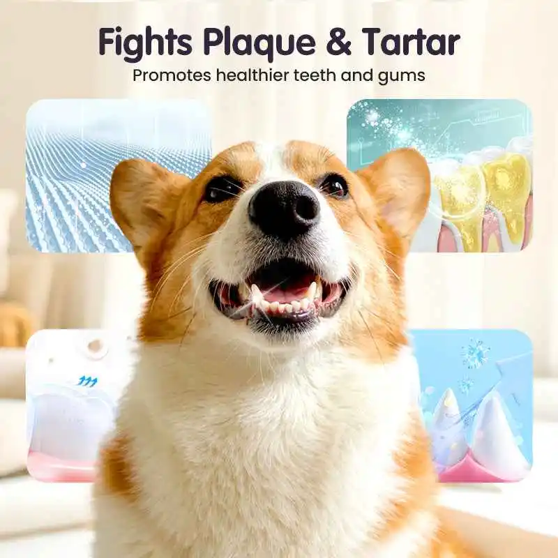 50% off 🐈 Pet dental cleaning spray | Say goodbye to bad breath with just one spray, gently cleans teeth - Image 4