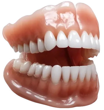 - Premium Denture - Image 9