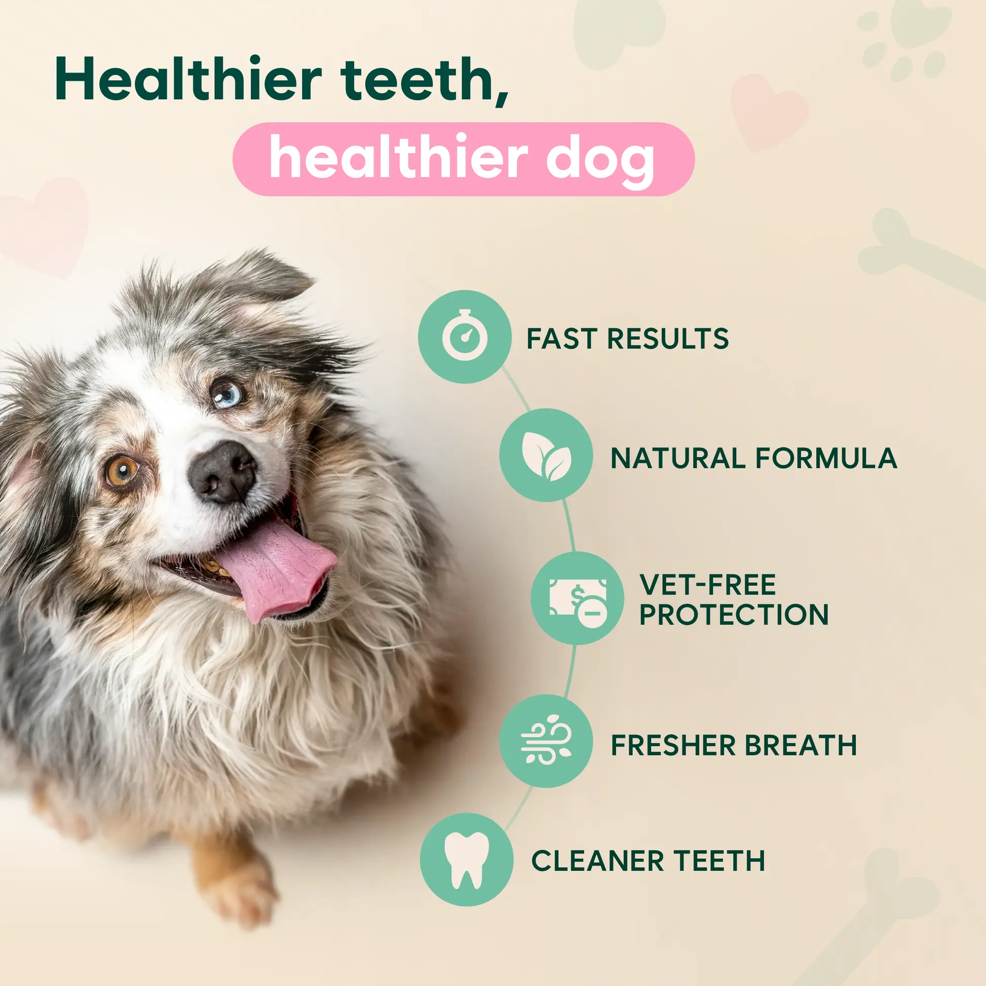 Dental Spray – Stop Bad Breath & Tartar at the Source - Image 4