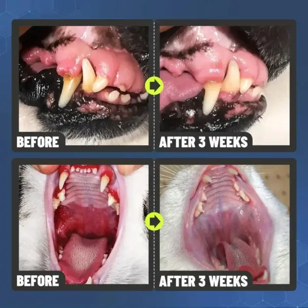 Dental Spray – Stop Bad Breath & Tartar at the Source - Image 10