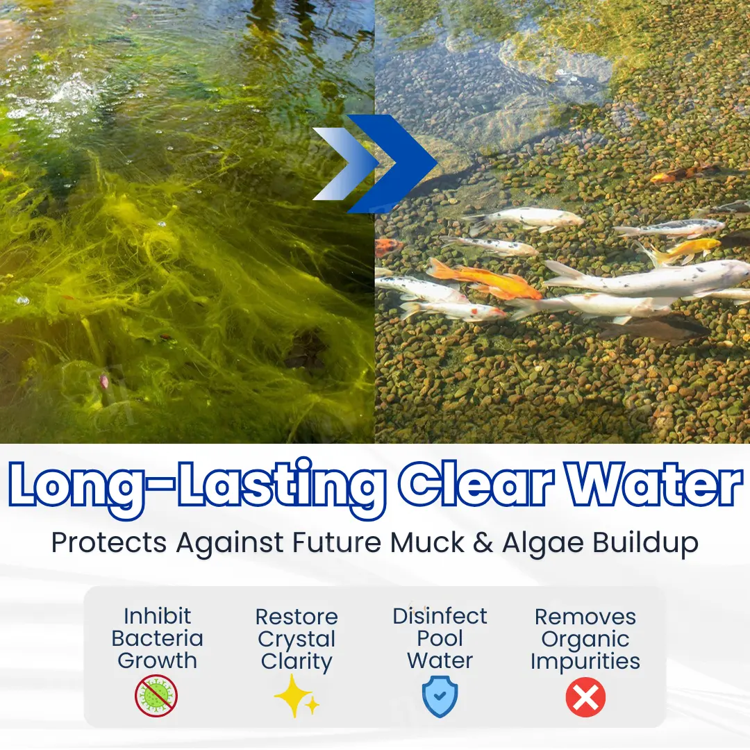 ✨ From Green to Clean Overnight! |⏱️ Crystal Clear in 24 Hours! | Aqua-Guardian Pro Formula - Image 3
