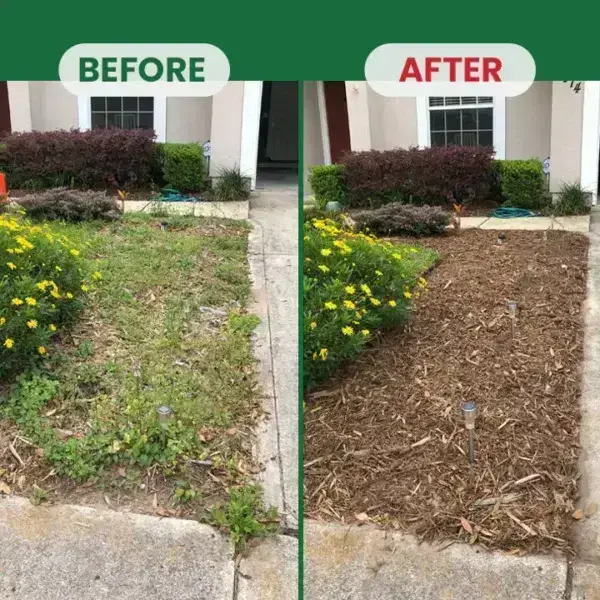 Weed Destruction Powder - Image 18