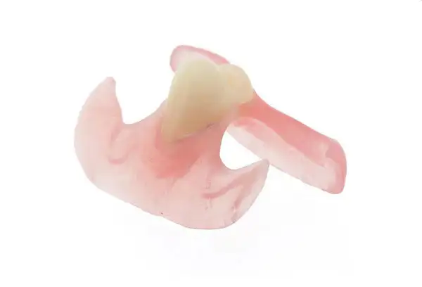 Premium Denture - Image 2