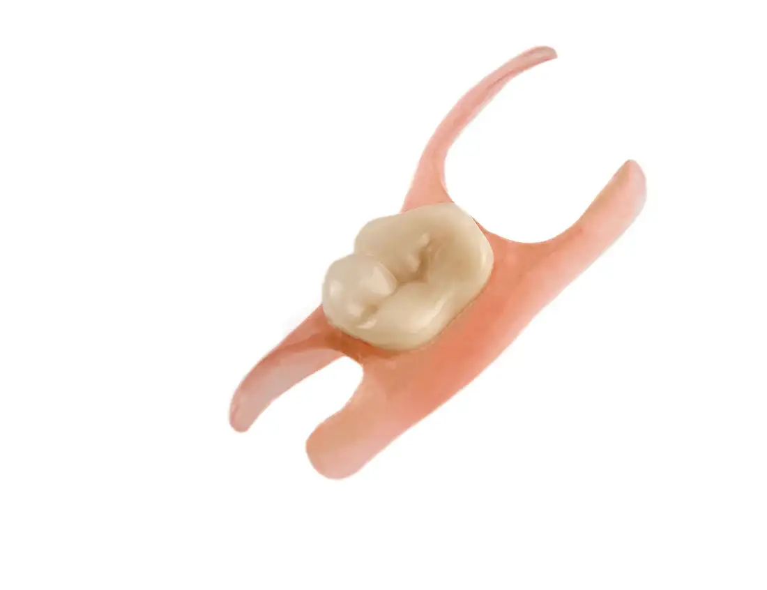 Premium Denture - Image 3
