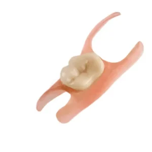 Premium Denture