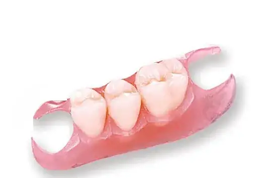 Premium Denture - Image 4