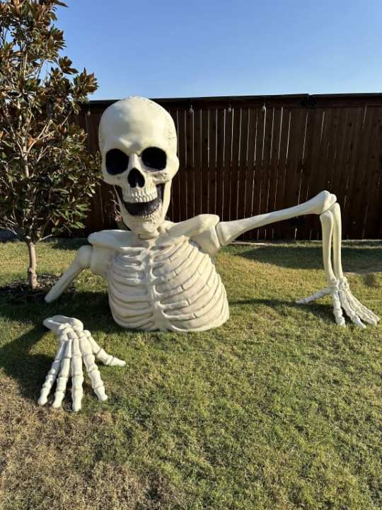 Giant Skeleton Groundbreaker - Image 2