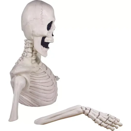 Giant Skeleton Groundbreaker - Image 9
