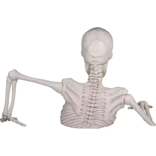 Giant Skeleton Groundbreaker - Image 7