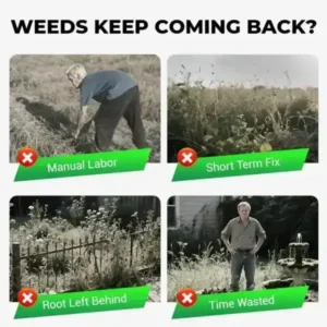 Cyclosinone Herbicide Granules | 🔥BUY 1 GET 1 FREE🔥 - Image 4