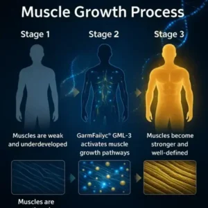 Muscle Growth Solution 2026 - Image 8