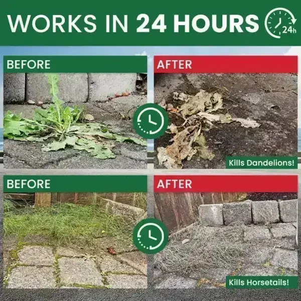 Kill Bamboo, Stumps & Invasive Weeds for Good – Root Killer Powder - Image 14