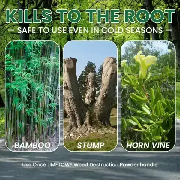 Kill Bamboo, Stumps & Invasive Weeds for Good – Root Killer Powder - Image 16