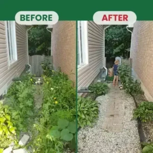 Kill Bamboo, Stumps & Invasive Weeds for Good – Root Killer Powder - Image 4