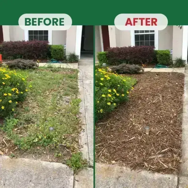 Kill Bamboo, Stumps & Invasive Weeds for Good – Root Killer Powder - Image 5