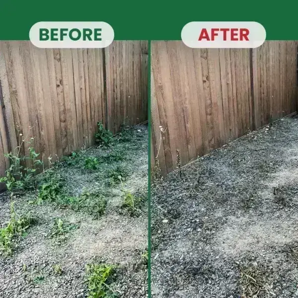 Kill Bamboo, Stumps & Invasive Weeds for Good – Root Killer Powder - Image 6