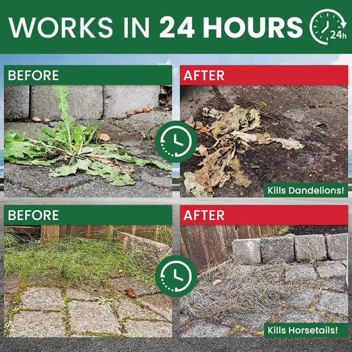 Weed Destruction Powder – Deep Penetrating Root Killer - Image 11