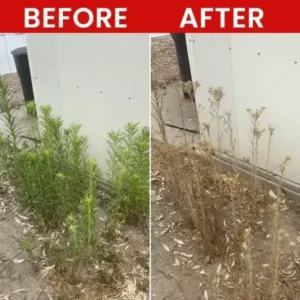 Weed Killer Spray - Image 12