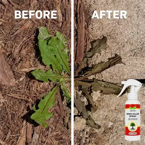 Weed Killer Spray - Image 5