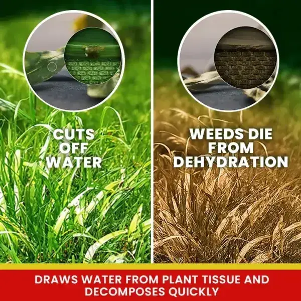 Weed Killer Spray - Image 8