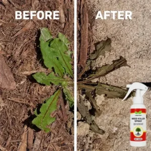 Weed Killer Spray - Image 5