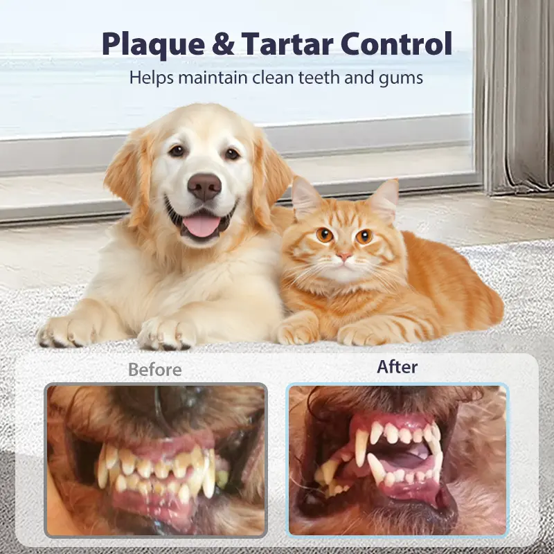 Teeth Cleaning Spray for Pets - Image 3