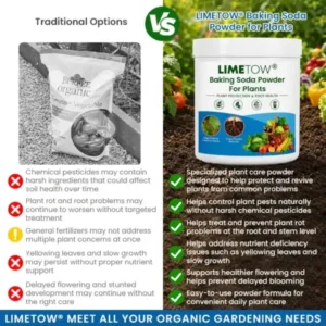 Baking Soda Powder for Plants - Image 5