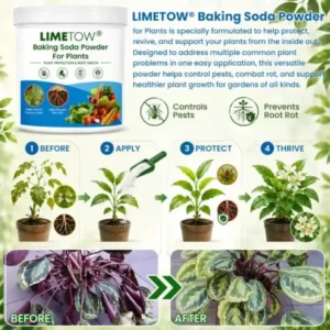 Baking Soda Powder for Plants - Image 7