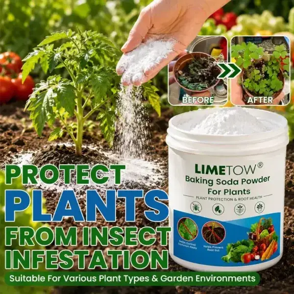 Baking Soda Powder for Plants - Image 4