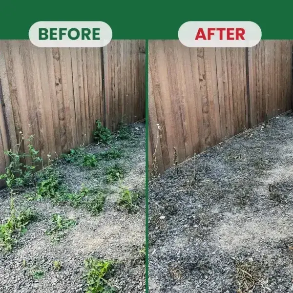 Weed Destruction Powder - Image 17