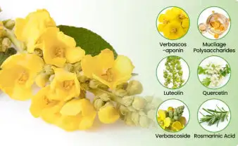 NEYEROS Botanical Mullein Lung Cleanse Diffuser - Image 7