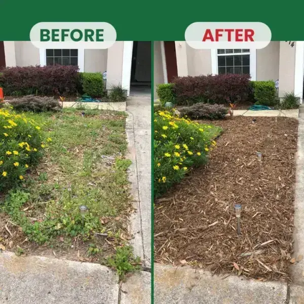Weed Destruction Powder - Image 18