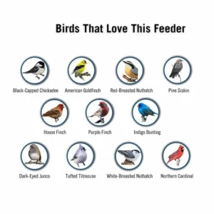 Squirrel-Proof Bird Feeder - Image 13