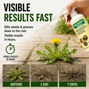 🔥🔥2026 SALE - Fast-Acting Natural Weed & Grass Killer Spray - Image 2
