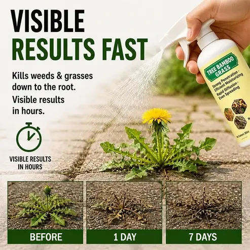 🔥🔥2026 SALE - Fast-Acting Natural Weed & Grass Killer Spray - Image 2