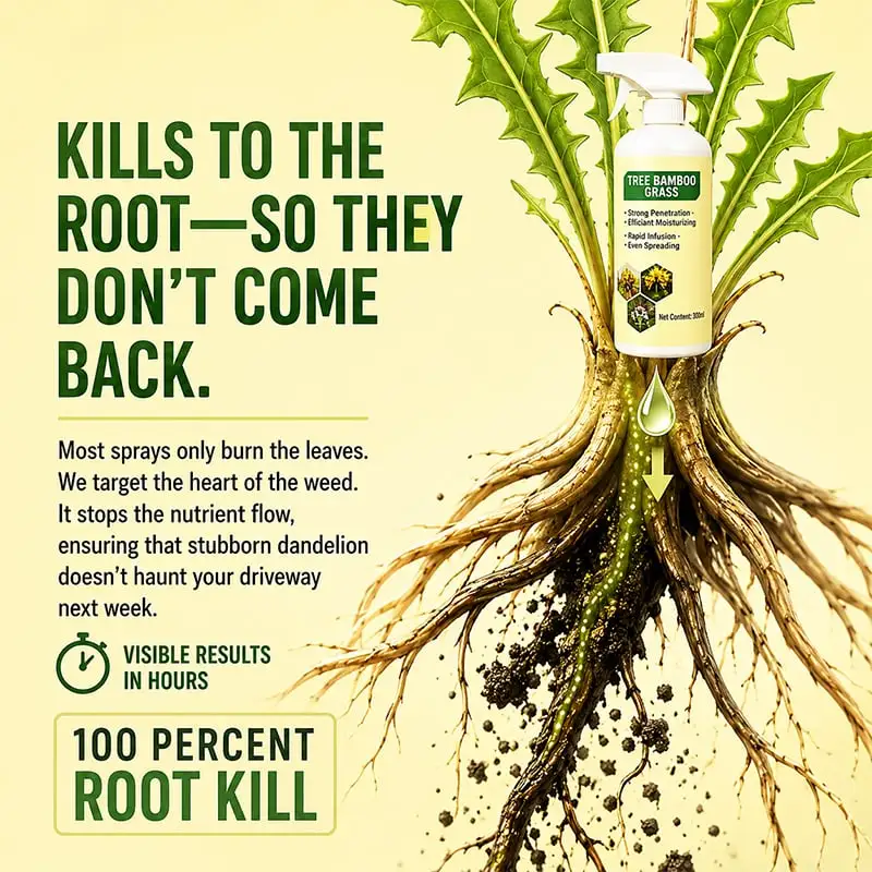 🔥🔥2026 SALE - Fast-Acting Natural Weed & Grass Killer Spray - Image 4