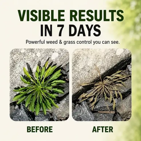 🔥🔥2026 SALE - Fast-Acting Natural Weed & Grass Killer Spray - Image 7